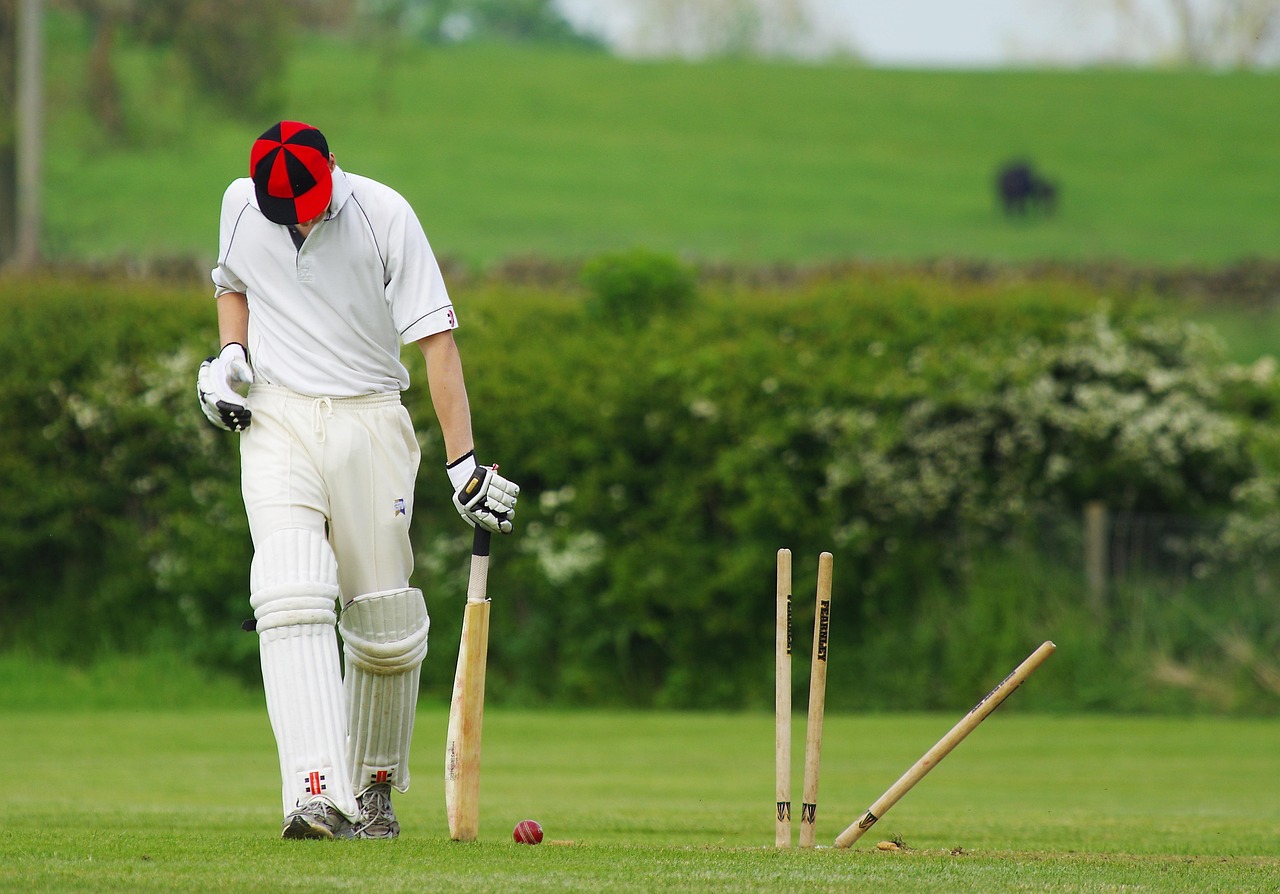 vegas11newidindia.com game screenshot 1